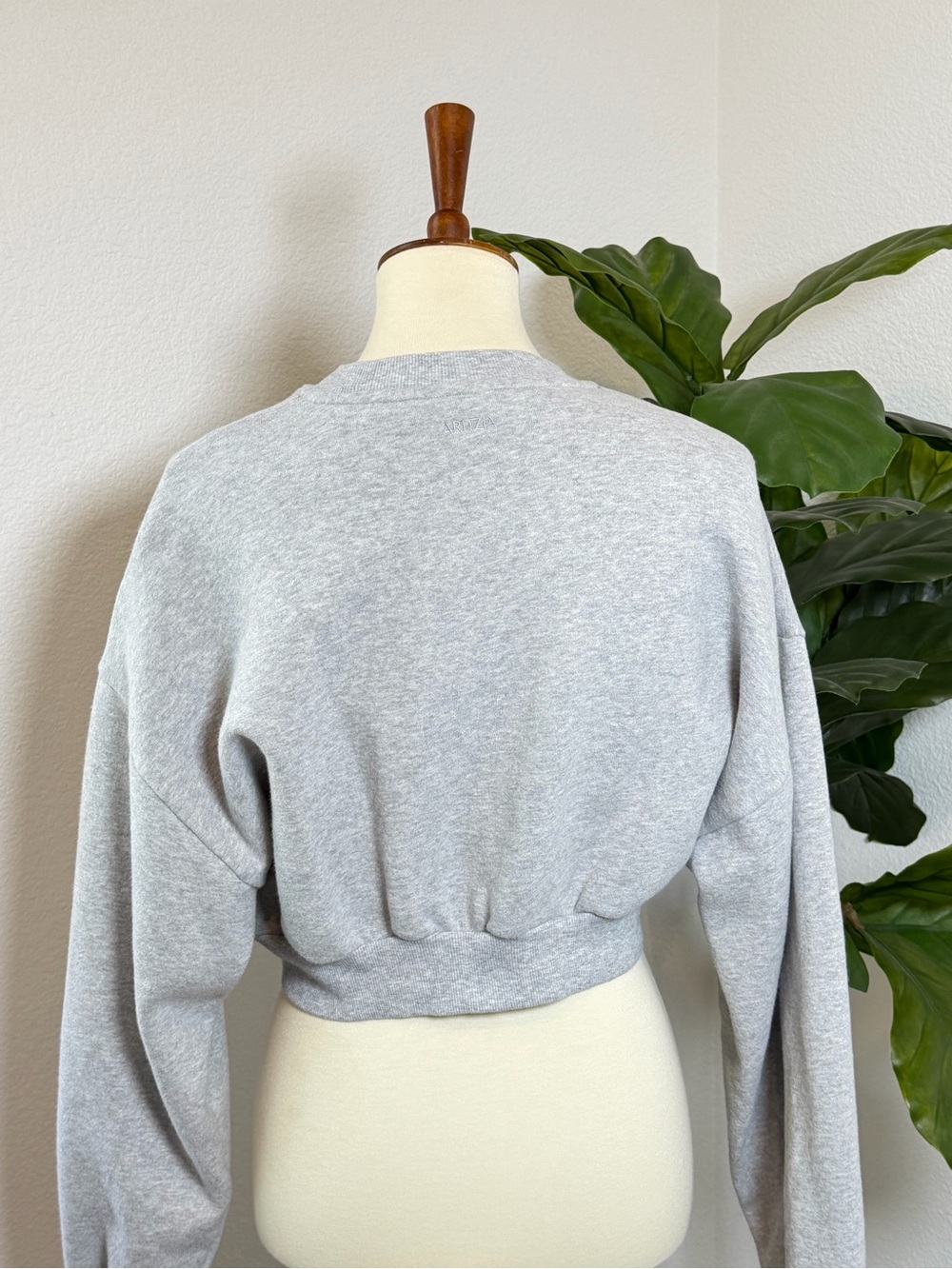 Aritzia Sweatfleece Mega Fit Cropped Crewneck - Picture 8 of 11